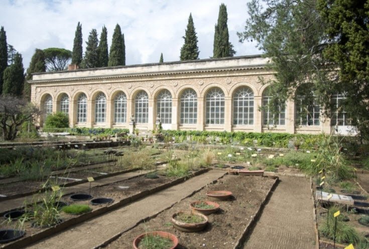 Jardin des Plantes de Montpellier , , France